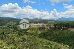 Chỉ 460 triệuxào có ngay nền đất farmstay 5000m2 bốn bề thông thoáng