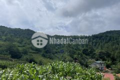 Bán đất phan cán sử y tý lào cai