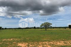 Bán lô đất gần quốc lộ 1a, xã phan thanh, bắc bình, đường trên sổ, gần khu trồng thanh long