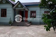 Bán đất lương sơn hòa bình 800m2 sẵn nhà cấp 4 mái thái.