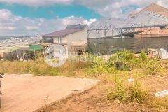 D989 bán 2 lô đất xây dựng hẻm ô tô hòn bồ thái phiên phường 12 tp đà lạt.