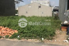 Cần tiền bán gấp đất 129m2 bắc thịnh ninh sơn ninh bình