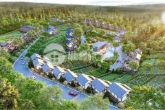 Chỉ 3,4 tỷ sở hữu căn biệt thự vườn tại the tropicana garden 2 bảo lộc.