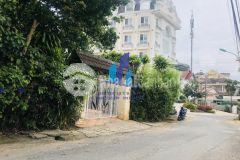 Bán đất mặt tiền trạng trình phường 9 tp.đà lạt.