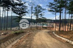 Sang nhượng nền đất 5000m2 view cực đẹp tại huyện lạc dương tp. đà lạt