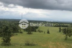 Cần sang nhượng mảnh đất vườn rộng 6500m2 tại bình thuận giá chỉ 750 triệu