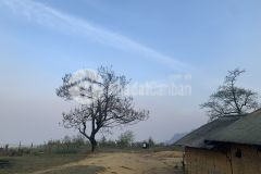 Bán đất trung chải y tý bát xát lào cai