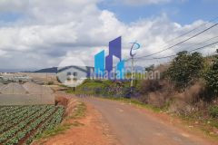 Bán đất đường tập đoàn 2 xã xuân thọ tp. đà lạt. diện tích 1122.09m2 giá bán 3,35 tỷ