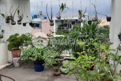 Ngộp bank đặng thùy trâm, phường 13, bình thạnh,hxh, an ninh, yên tĩnh, 80m2, 11.5 tỷ tl