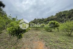 Bán đất khu bảng áng mộc châu sơn la