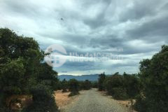 Bán lô đất xã hòa thắng 1,3ha cách liên huyện chỉ 100m huyện bắc bình