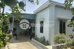 Bán đất lạc thủy hòa bình tuyệt sắc tiên xảnh hạ phàm