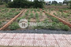 Bán nhà ở cho gia đìng trẻ