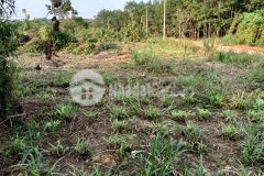 Chính chủ cần thanh lý lô đất đẹp 4262m2 giá cực tốt tại xã tân tiến bù đốp bình phước