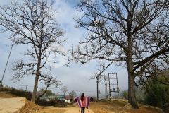 Đất nền y tý nới đầu tư đón đầu quy hoạch xây dựng