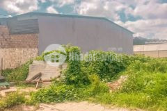 D991 cần bán đất kqh nguyễn hữu cầu phường 12 thành phố đà lạt.