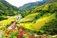 Đất nền sapa bán cắt lỗ mùa covid