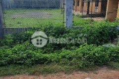 D555 bán 4 lô đất liền kề hẻm cấp 1 thôn cao thắng chỉ với 230 triệu 1 lô