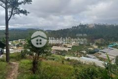 D993 cần bán lô đất nông nghiệp hẻm ô tô hùng vương phường 11 thành phố đà lạt.