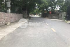 Cơ hội đầu tư với các nhà đầu tư thông thái