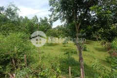 Bán đất lương sơn hòa bình dt 2661m2 có 400 ont, lưng tựa núi view cánh đồng.