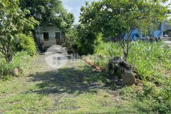 Bán lô đất tặng nhà phường khánh xuân