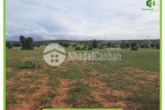 Bán đất thị trấn chợ lầu bình thuận kế bên đường nhựa đi sân bay giá 500tr shr