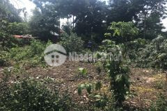 D558 bán lô đất buôn tiêu xã eatieu