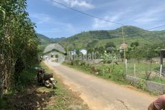 Bán 3000m đất cao phong đường rộng 11m, giá chỉ 700tr