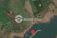 3.7ha đất trồng cao su 150m view hồ giá chỉ 3 tỷ đồng.