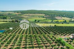 Bán 3 lô đất bình tân cạnh kdl safari 3.300ha ngay đường liên huyện liên hệ ngay 0938645711