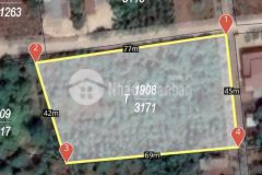 D559 hẻm cấp 1 buôn gà eatieu đất 2 mặt tiền, bằng phẳng siêu đẹp