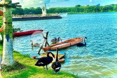 Về nhà,về giữa thiên nhiên ở ecopark,chúng tôi kể bạn nghe về câu chuyện của thiên nhiên.