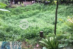 Đất nền mộc châu giá rẻ phù hợp xây nhà và nghỉ hưu sớm