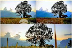 Đất nền y tý đón đầu sóng quy hạch, giá chỉ từ 500 triệu