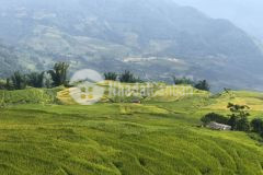 Trung tâm của y tý sapa 2, vị trí siêu đẹp full mọi mục đích kinh doanh