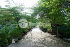 Đất ấp mỹ hưng xã mỹ phong cách ql50 tầm 300m