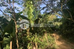 Bán mảnh đất bốn mùa du lịch ở sapa 2 giá đầu tư