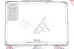 Cần bán gấp mảnh 1084m mò phú chải giá cực yêu đãi