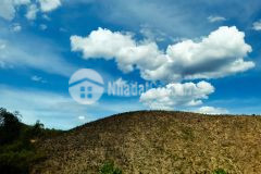 Chính chủ bán 3000m2 đất bám hồ giá tiểu học tại lạc thủy hòa bình