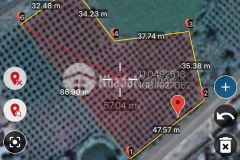 Bán 3.8 sào đất cây trồng thôn trũng liêm, hàm chính, hàm thuận bắc