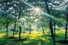 Ecopark hưng hòa tp. vinh, nghệ an