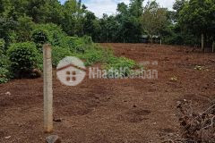 D567 bán đất buôn culim xã eakao cách đường tránh đông chỉ 100m