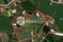 3ha cây gáo cách ngã tư tân lập chỉ 5 phút