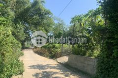 Đất tịnh châu rẻ nhất thị trường