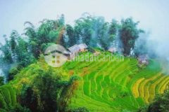 Bán mảnh đất vàng trung tâm sapa 2 giá đầu tư lợi nhuận cao