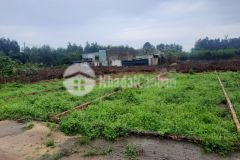 Em có đất cần bán đc xây dựng tự do ở an viễn