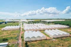 Đất hòa thắng 10900m2 cách đường đt 716 200m giá chỉ 1,635 tỷ