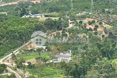 Bán 1,6 xào đất ở thôn 12 lộc thành lâm đồng