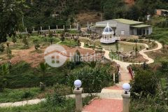 Bán đất view đẹp 1 héc tại thôn 2 lộc thành lâm đồng